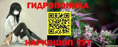 spice Дубна